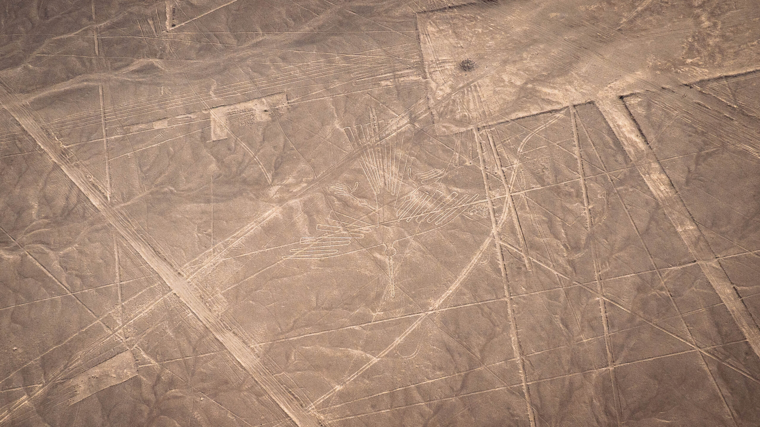 Linie Nazca Condor